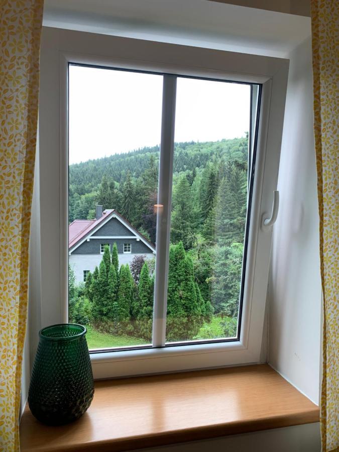 Penzion Zelene Udoli Янске Лазне Екстериор снимка